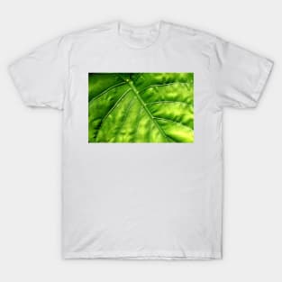 Nature's solar panel T-Shirt